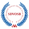 SDVOSB-logo-color-300x300